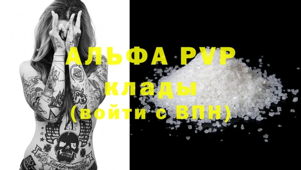 индика Надым