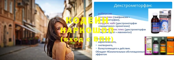 индика Надым