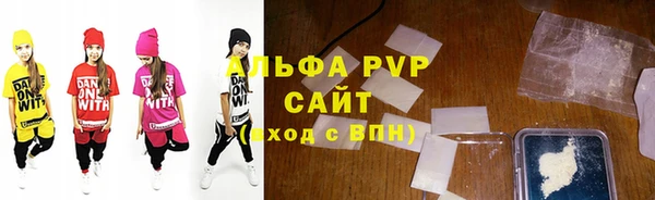 индика Надым