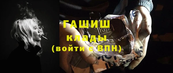 индика Надым
