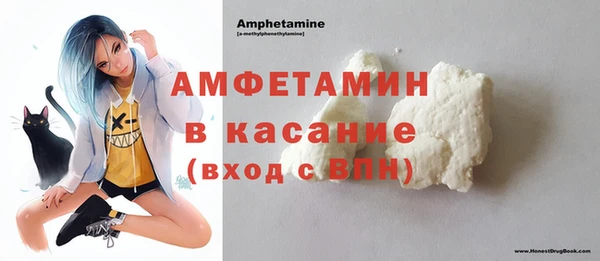 индика Надым
