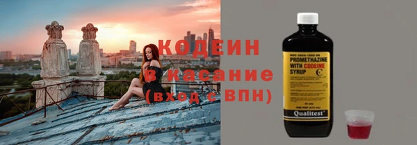 индика Надым