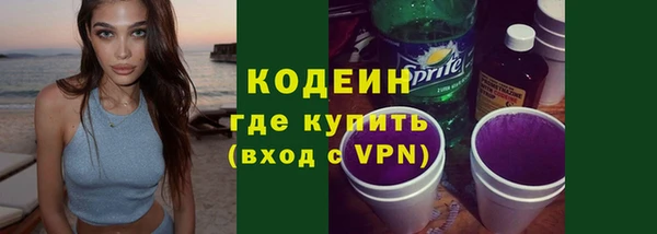 индика Надым