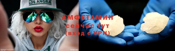 индика Надым