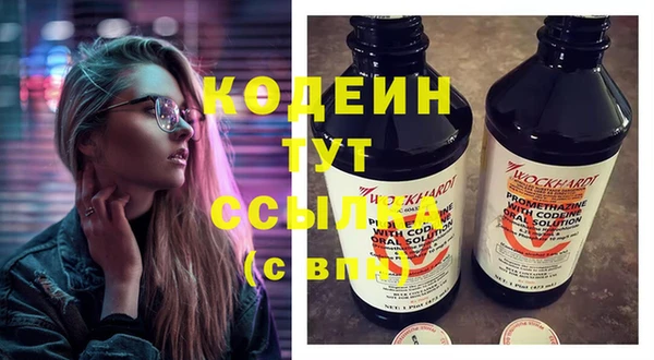 индика Надым