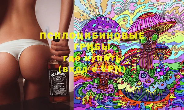 индика Надым