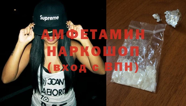 индика Надым