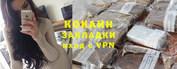 индика Надым