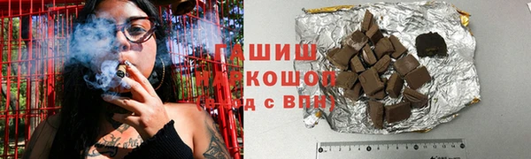 индика Надым