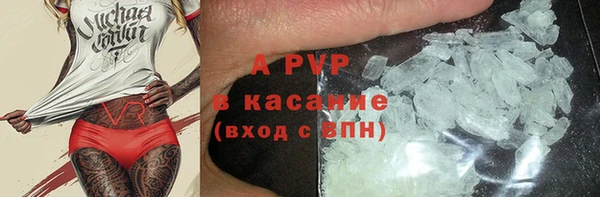 индика Надым