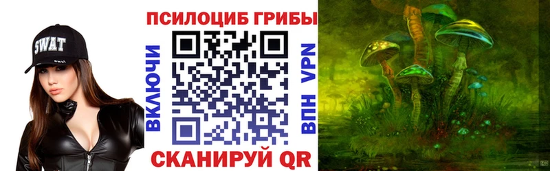 Купить где  Кизел  Псилоцибиновые грибы Magic Shrooms 